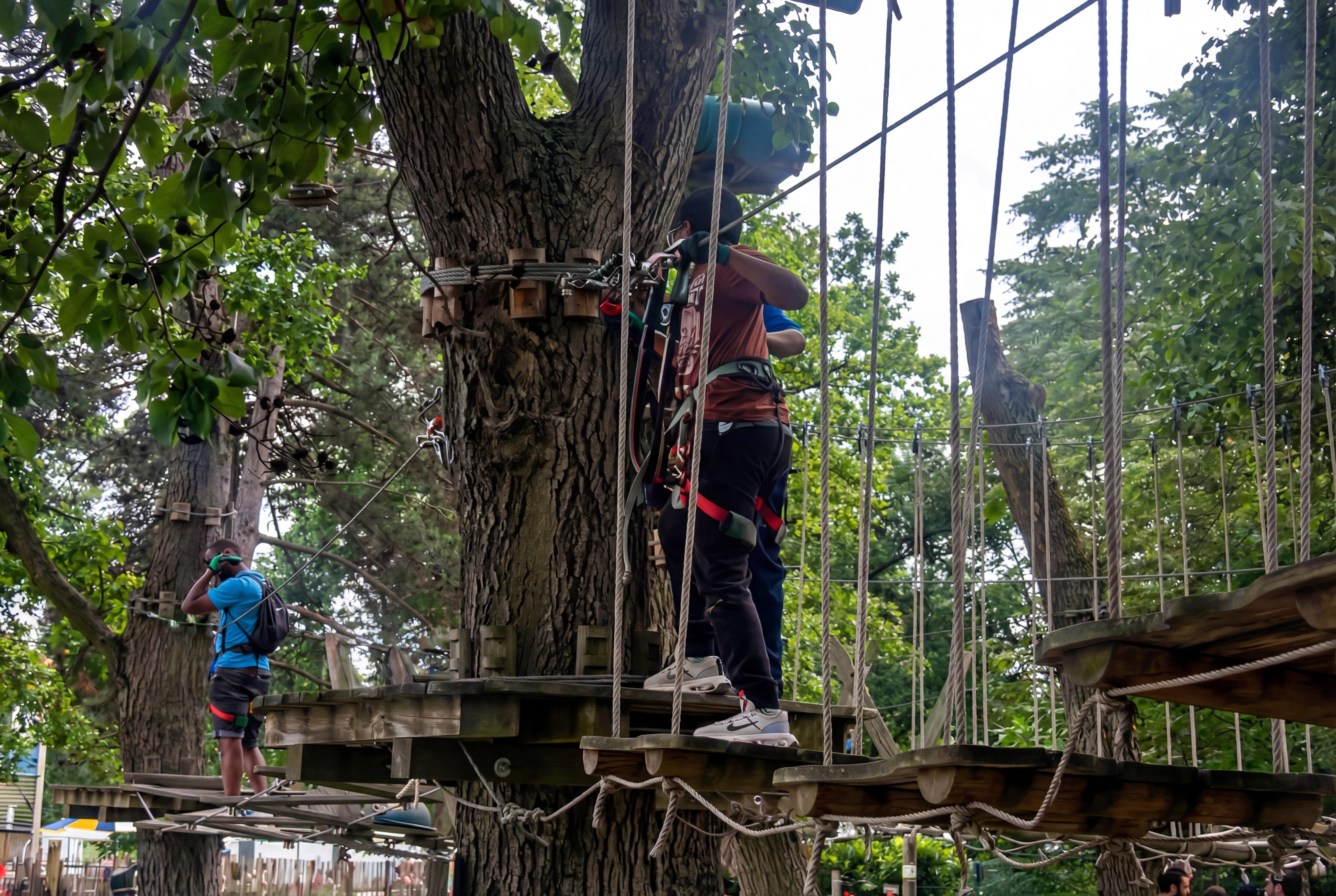 Journée Accrobranche – Sport & cohésion familiale